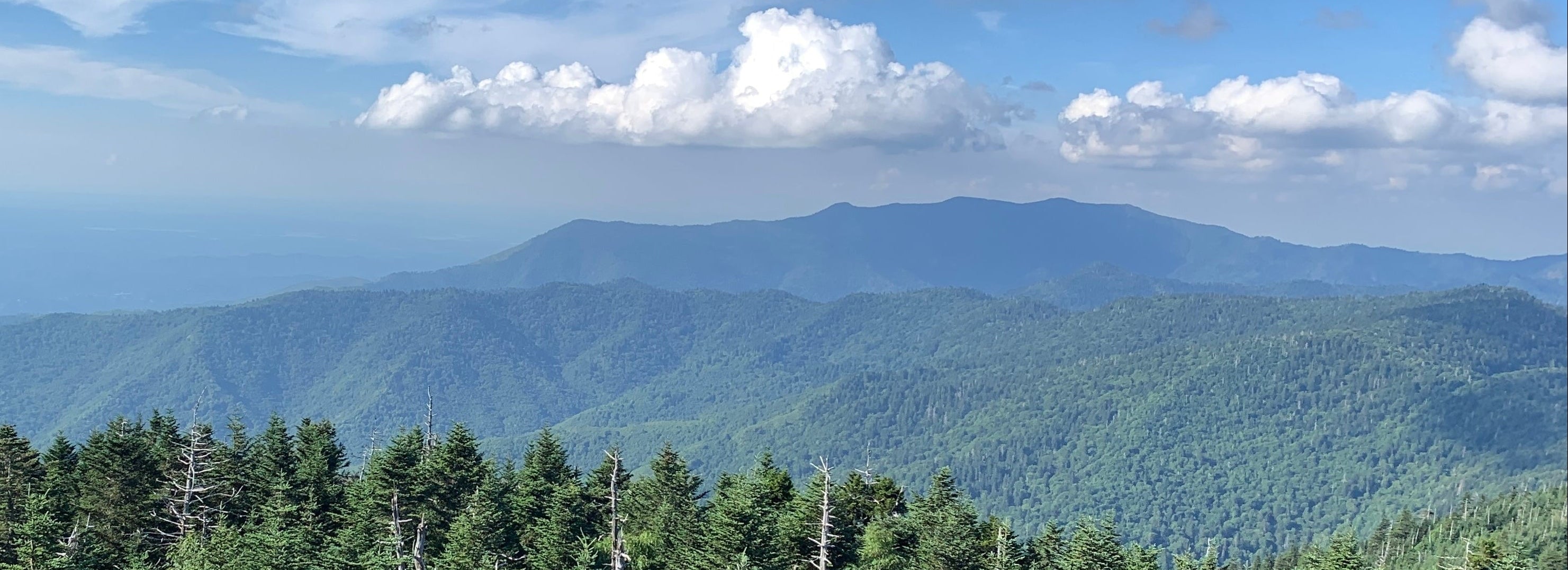 Scenic view of mountains with green trees and blue sky